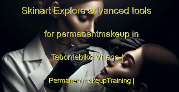 Skinart Explore advanced tools for permanentmakeup in Tabontebike Village | PermanentmakeupTraining | PermanentmakeupClasses | SkinartTraining-Kiribati